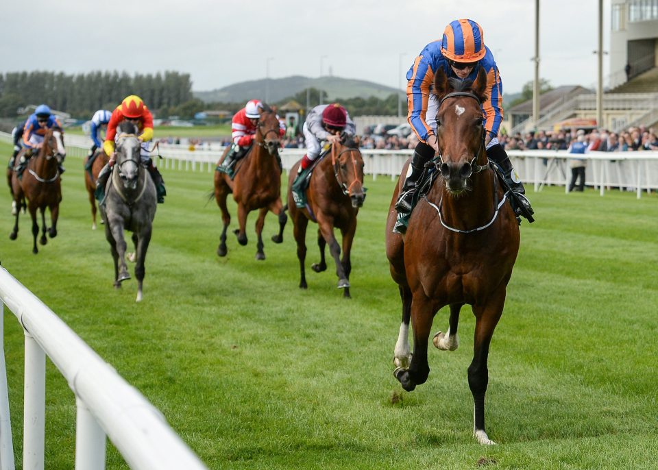  Churchill leaves the field trailing behind him