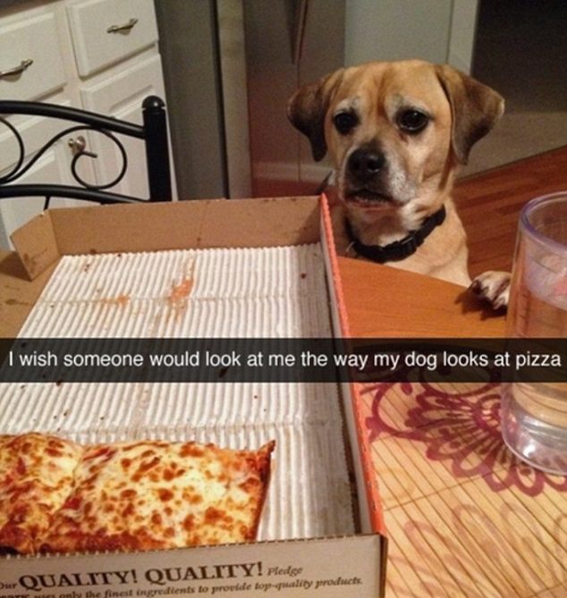  A lonely pet owner shared a picture of her dog drooling over a margarita pizza