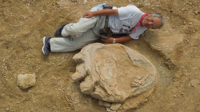 The massive footprint was left by a massive creature that was up to 30 metres long