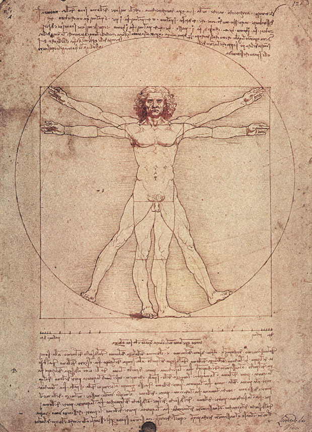  Da Vinci's Vitruvian Man sketch is supposed to show the ideal proportions of the male body.