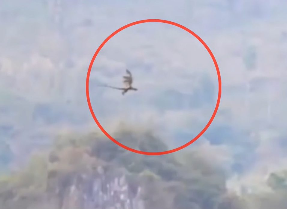  The video claims to show a dragon flying through a mountain range in China