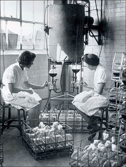  Filling culture flasks with the nutrient solution in which penicillin mould was grown, 1943