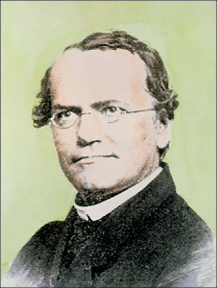  Gregor Mendel, who worked out the laws of genetics in the 1860s.