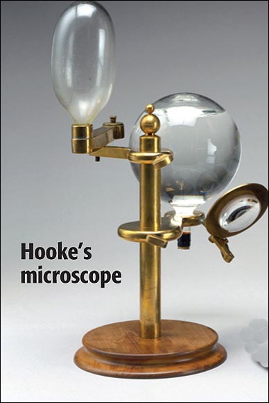  This device focuses light from an oil lamp onto the sample.