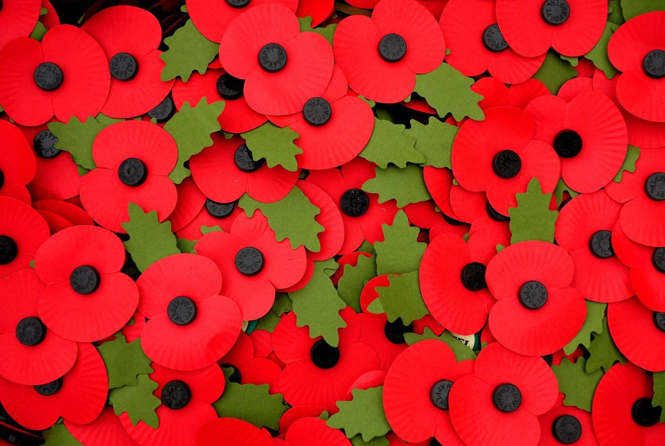  The reason poppies are used is because they are the flowers which grew on the battlefields after WW1 ended