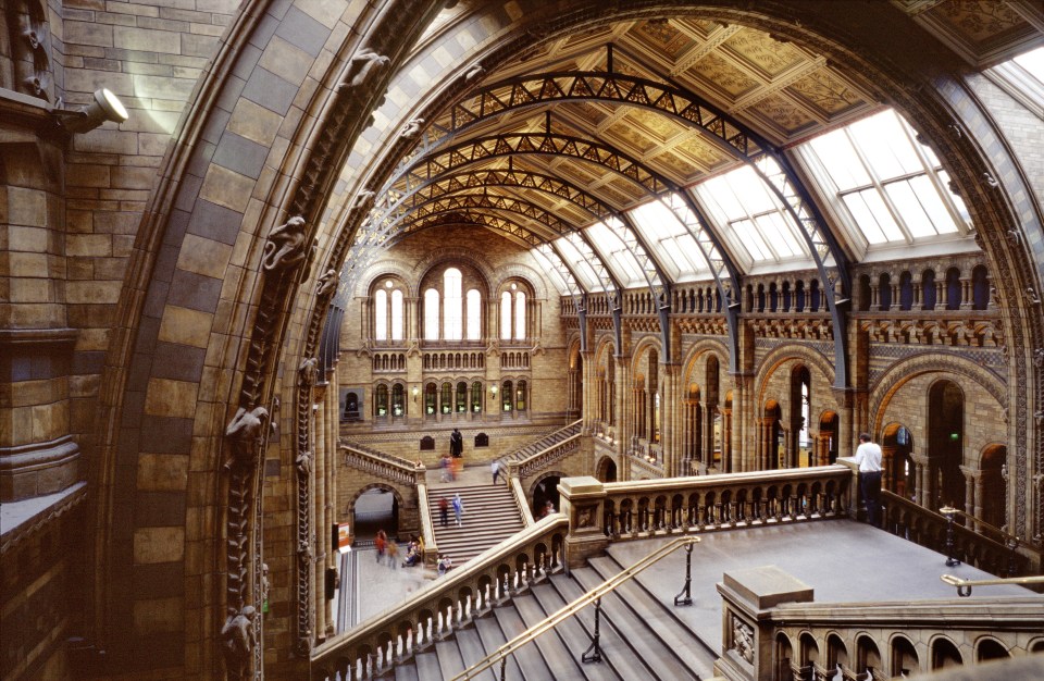  The Natural History Museum was given the worst score for feeding kids sugary foods