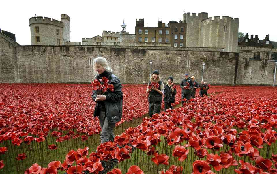  The installation at the Tower of London in 2014 raised £8 million