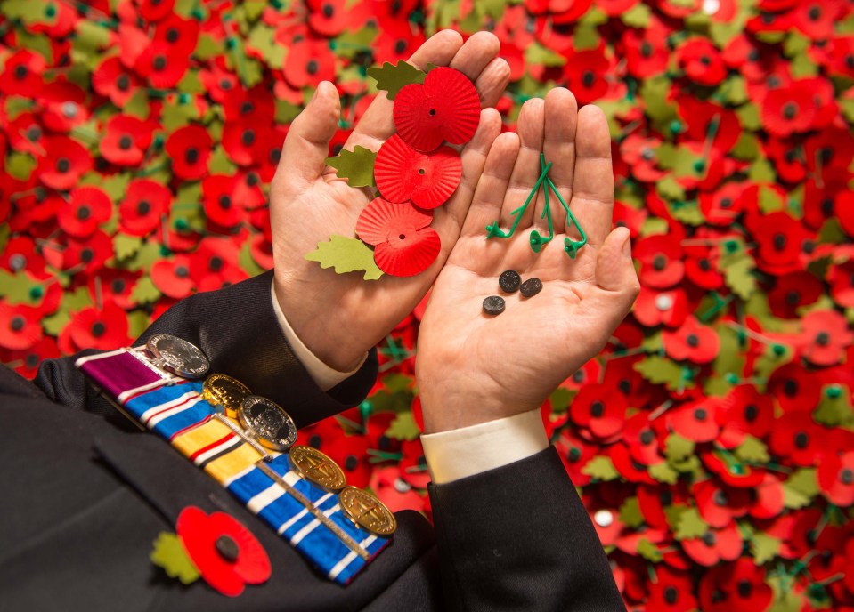  You can donate to the Poppy Appeal via phone, text, post or online