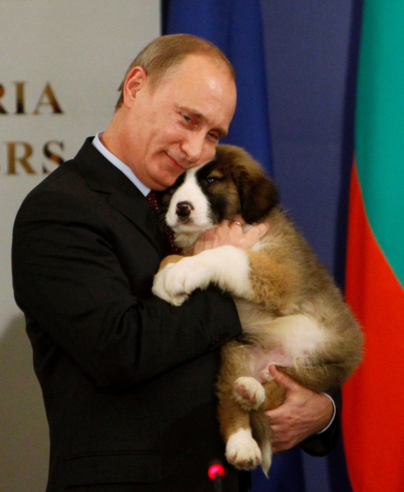  Here, is pictured cuddling a Bulgarian Shepherd, given to him by the country's PM