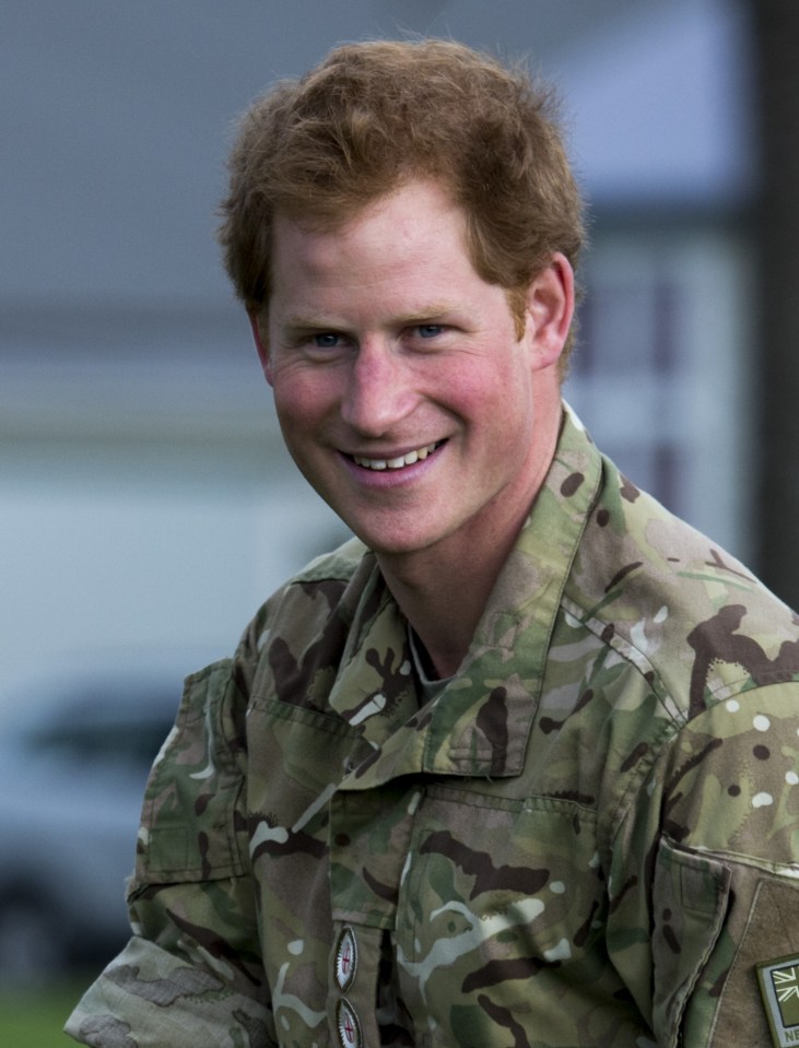 Prince Harry is hoping for a speedy resolution