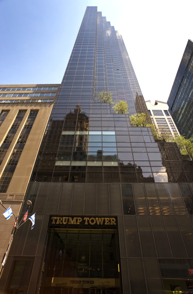  Trump Tower on Fifth Avenue, Manhattan, was built in 1981