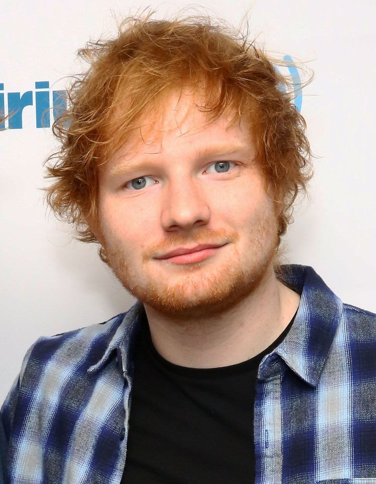  Ed Sheeran publicly deliberated about different water types