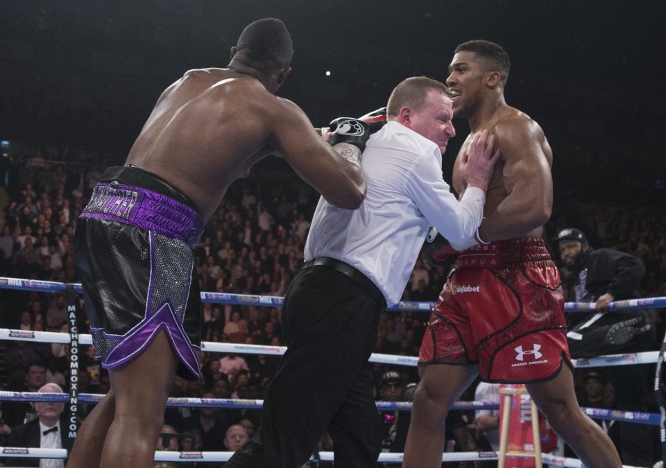  Dillian Whyte (left) took on Anthony Joshua (right) in an epic battle