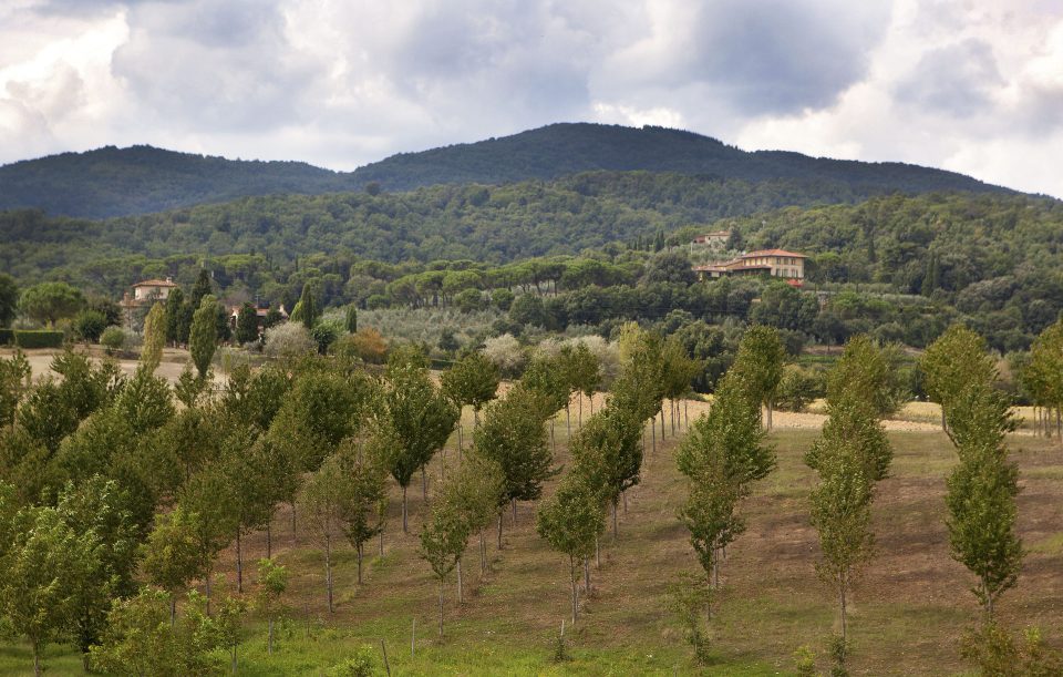  Rolling hills . . . pop star's estate at Il Palagio