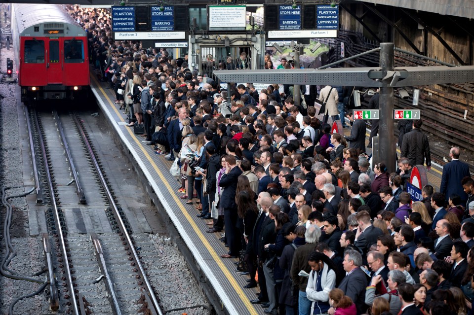  The experts found all city areas saw an increase in population - the greatest being in London