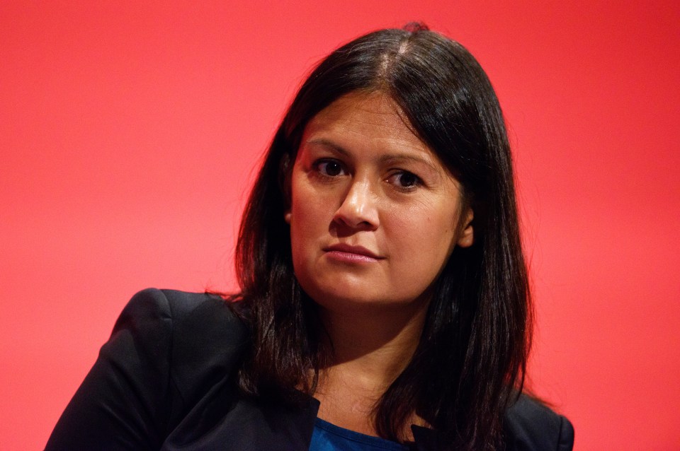  Lisa Nandy wants to avoid a three horse race so the Lib Dems stand more chance of kicking Zac Goldsmith out of the House of Commons