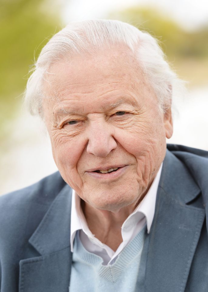 Sir David Attenborough will initiate the laying of the first block of the keel in the traditional maritime ceremony 