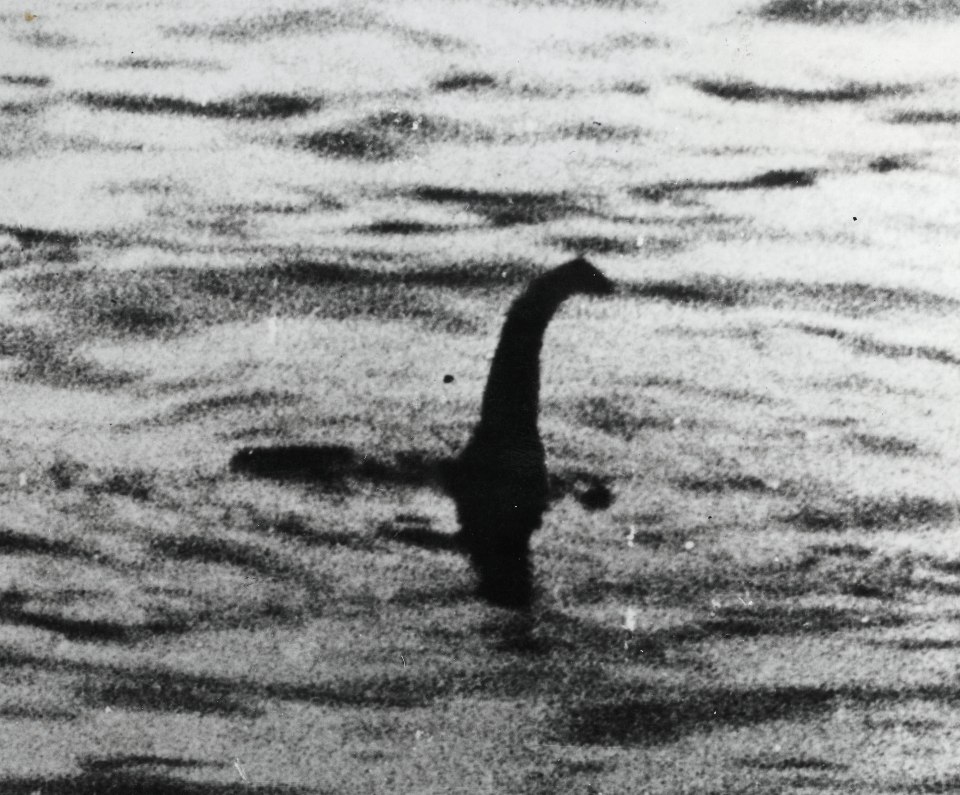  Many visitors to Loch Ness have claimed to have "spotted" Nessie over the years but the creature's existence has never been proved