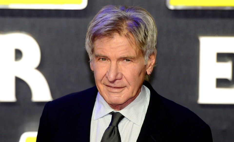 Darcey also recalled a time she had to kiss Hollywood actor Harrison Ford