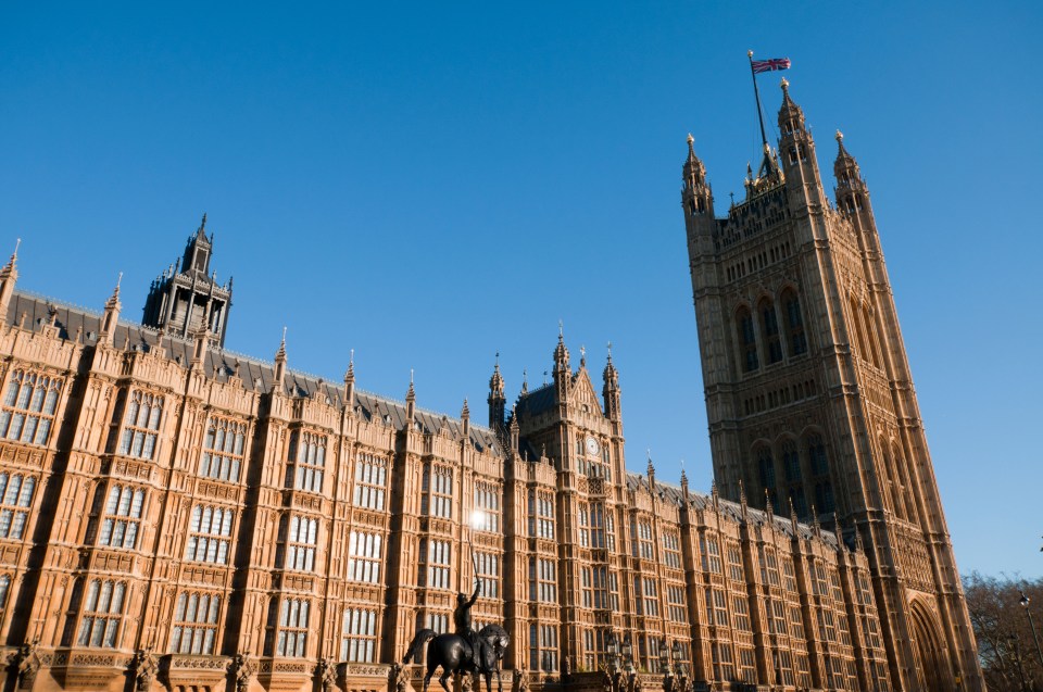  Houses of Parliament ... the researcher worked for Tory peer Baroness Nicholson of Winterbourne, who has sacked him