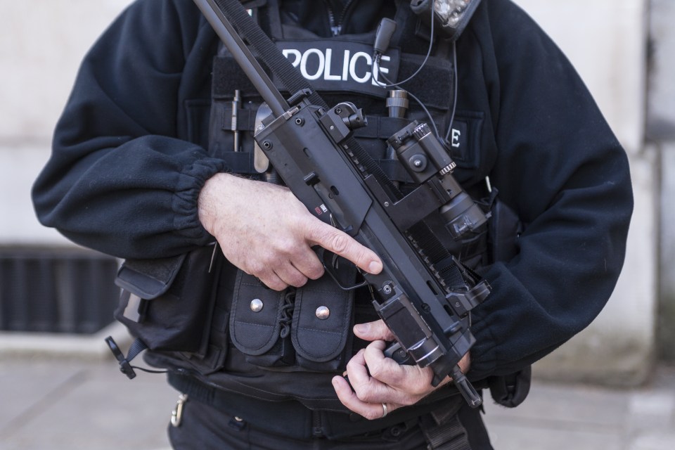  Armed cops arrived in five police vehicles after responding to call of a terrified local