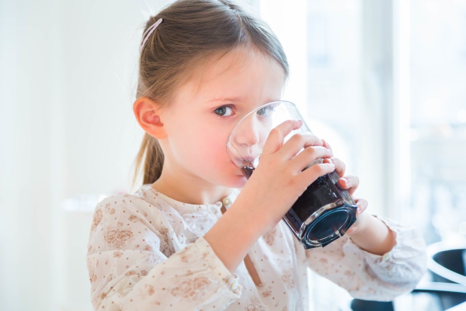  Kids are being sold extremely unhealthy lunch options at some of the UK's most popular tourist attractions (stock image)