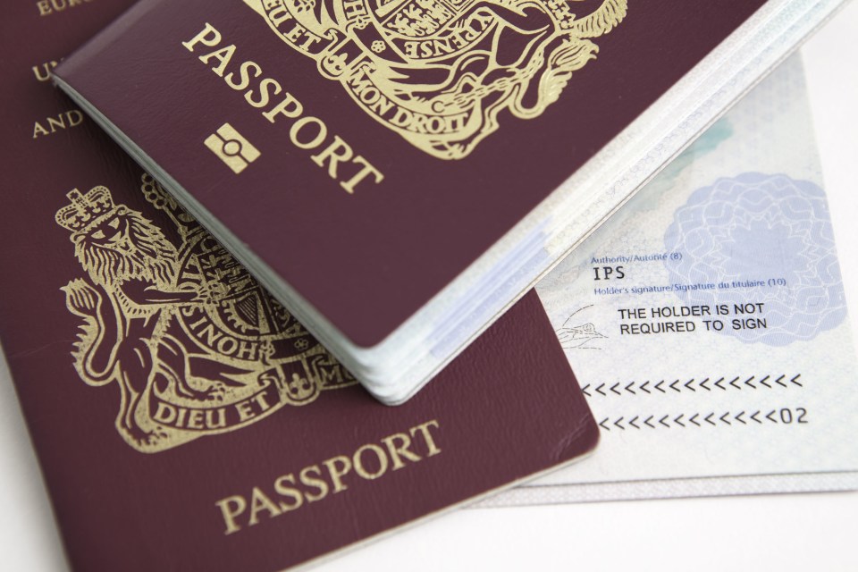  A hard Brexit could see British passports rise in value by 20 per cent