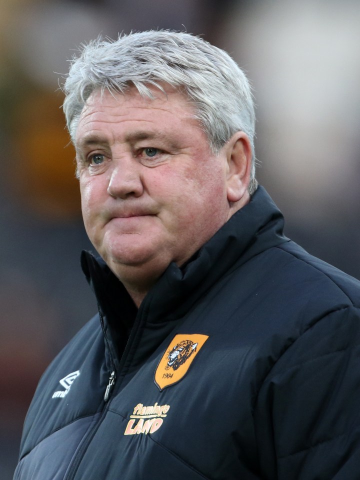  Steve Bruce is a frontrunner for the vacant Aston Villa job