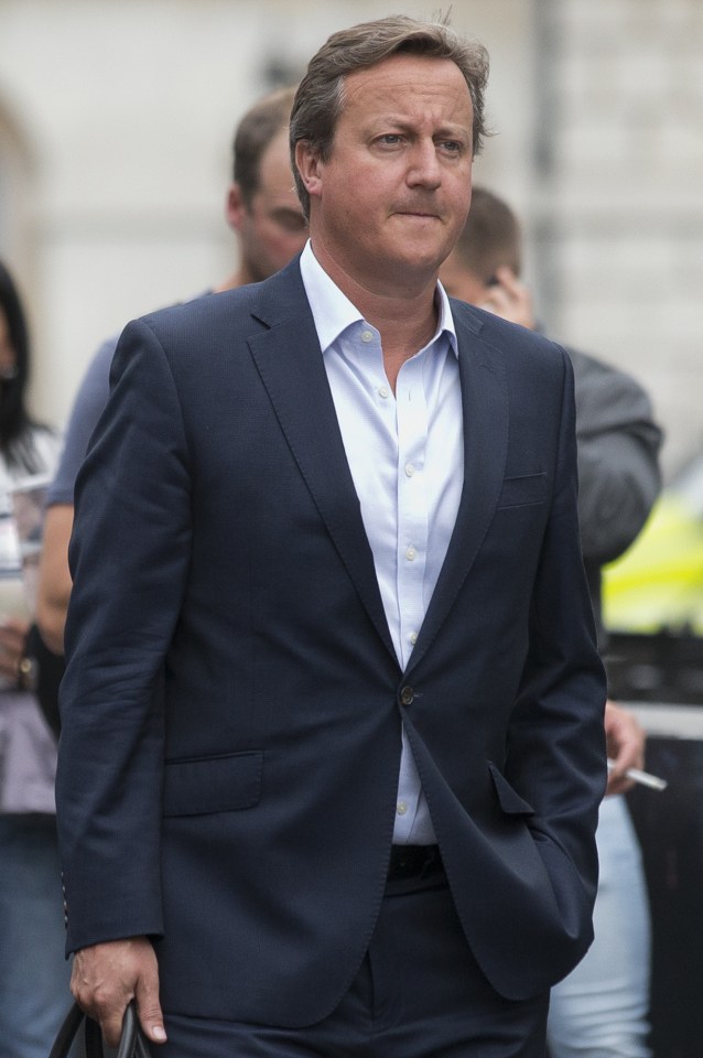  Cameron's flagship plan was to force all state schools into academies