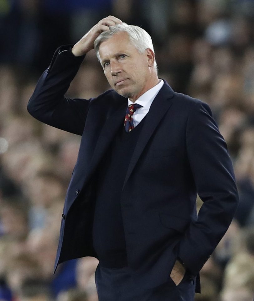  Alan Pardew admits Crystal Palace arent looking to leave Selhurst Park