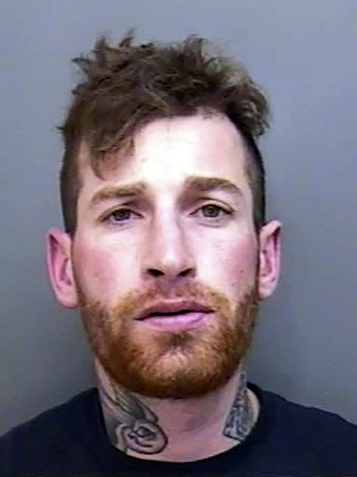  James Hamilton-Bing was part of the gang which carried out the violent crime