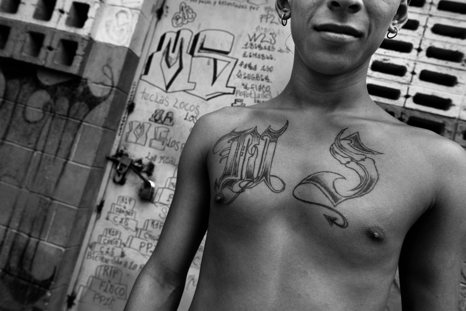  MS-13 members have been accused of smuggling terrorists across borders