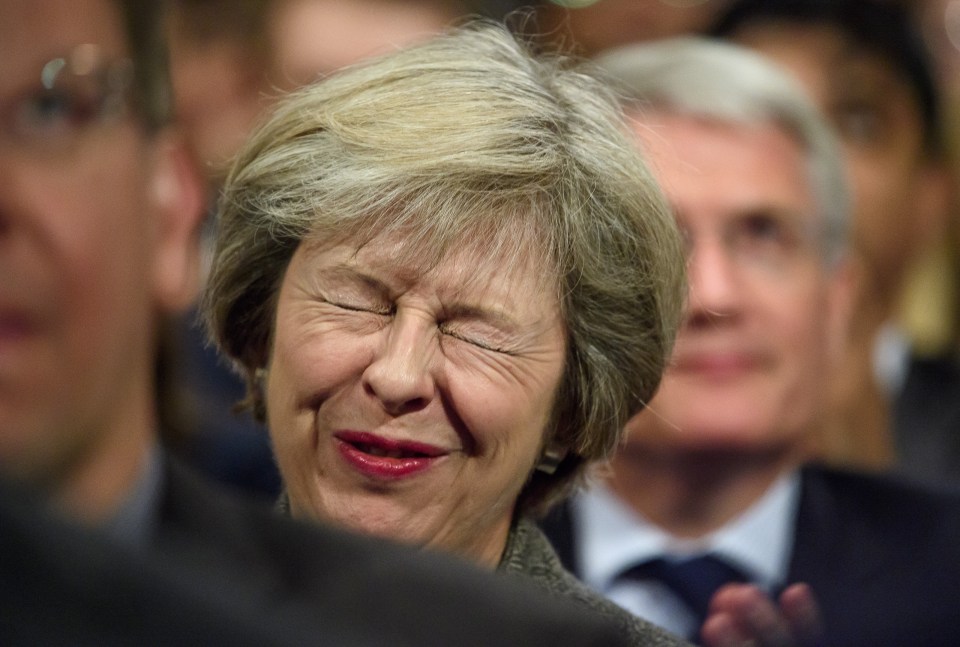  Theresa May winced during Philip Hammond's speech about the post-Brexit economy