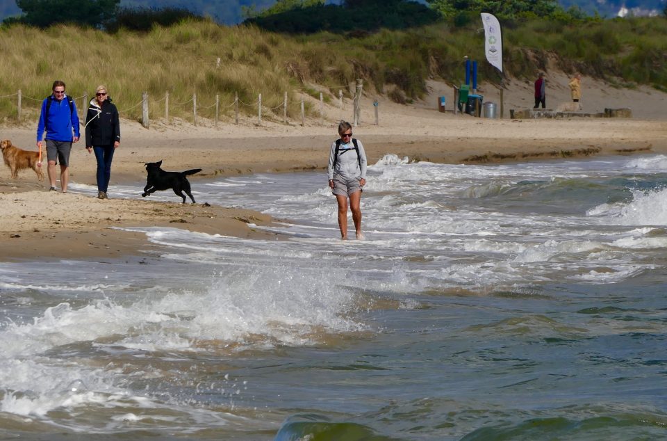  Monday meant good weather for those taking a stroll along Middle Beach in Studland, Dorset