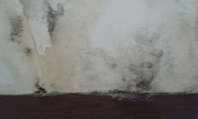  Mould covered the walls in the hotel bedroom and the family all suffered food poisoning after the horror stay