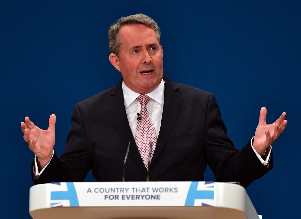  Cabinet rift over the Government’s demands could see Liam Fox resign