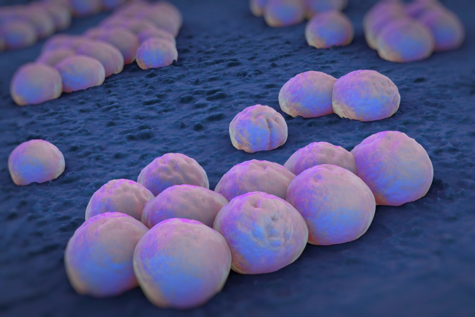  The study showed that rooms with patients in weren't being cleaned meticulously enough. Pictured, an illustration of the superbug MRSA