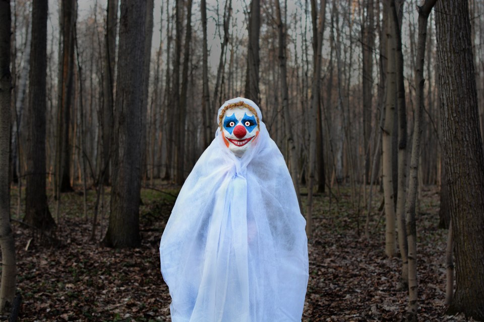  Clowns have been spotted in the woods and lurking in residential areas