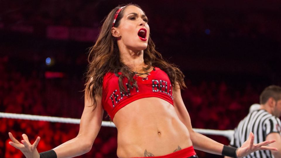  WWE Diva Brie Bella has announced that she is pregnant