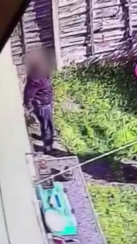  CCTV shows the driver edging down her trousers as if to relieve herself in the garden