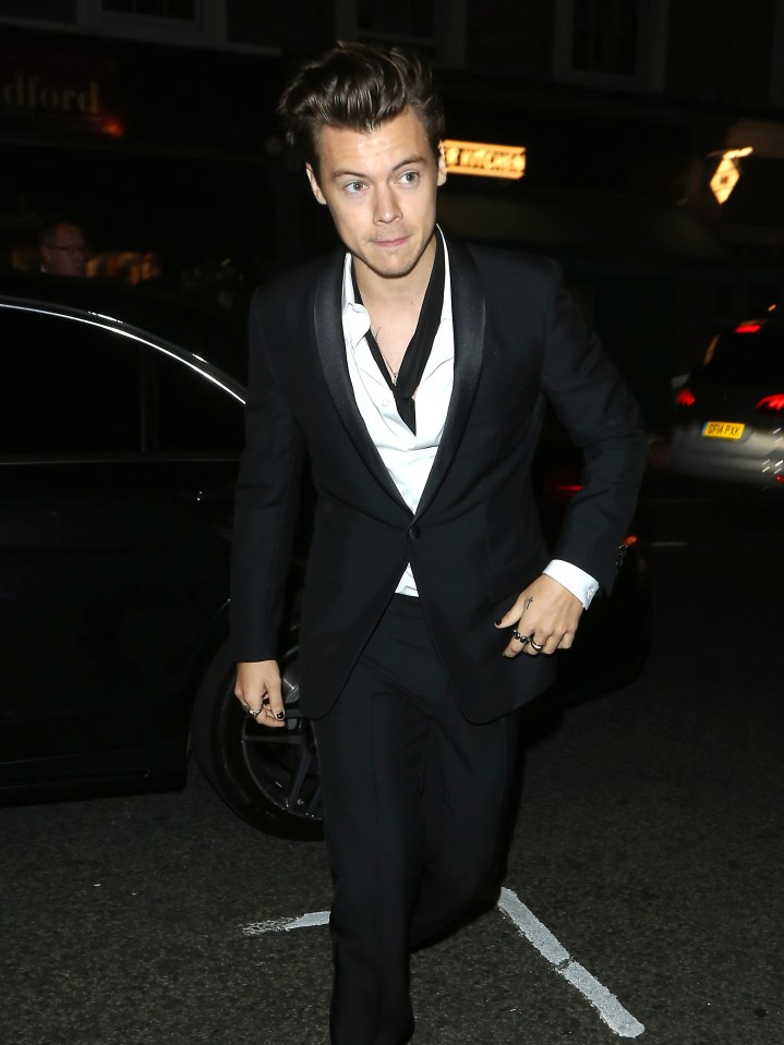  Harry looked dapper in a tux as he arrived to the Dior bash