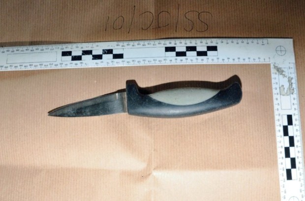 The teenager used a kitchen knife to stab her friend in the chest in a quiet part of the school