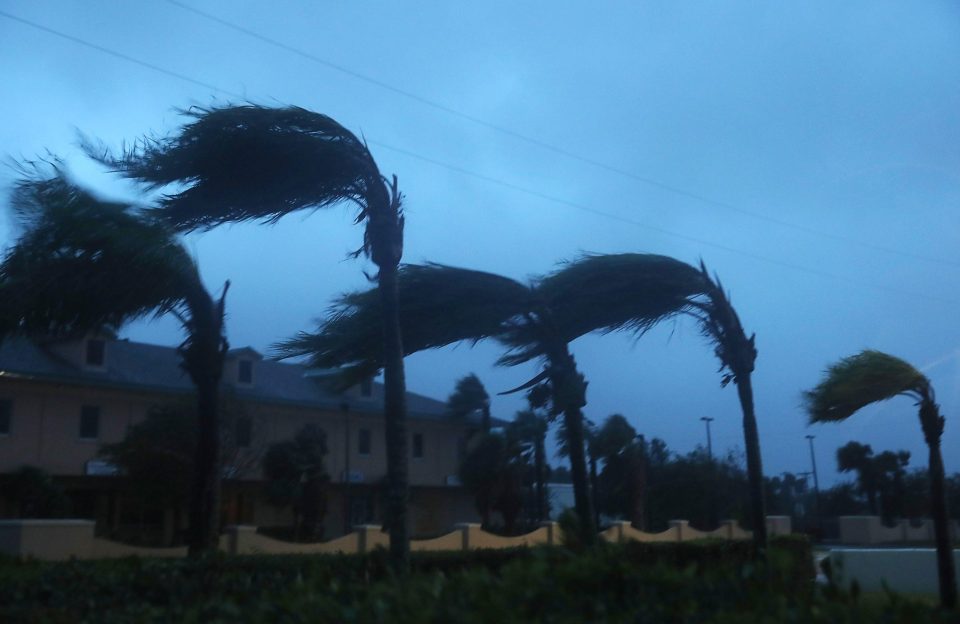 Palm trees bend treacherously in the terrifying 100mph winds that hit Florida