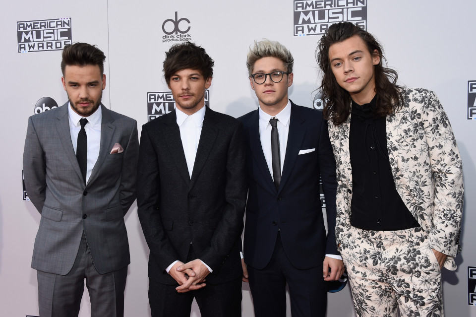 2015 American Music Awards - Red Carpet