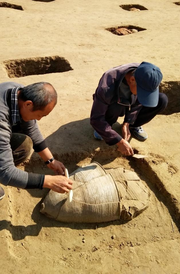  Only part if the site has been excavated and more tombs could be found