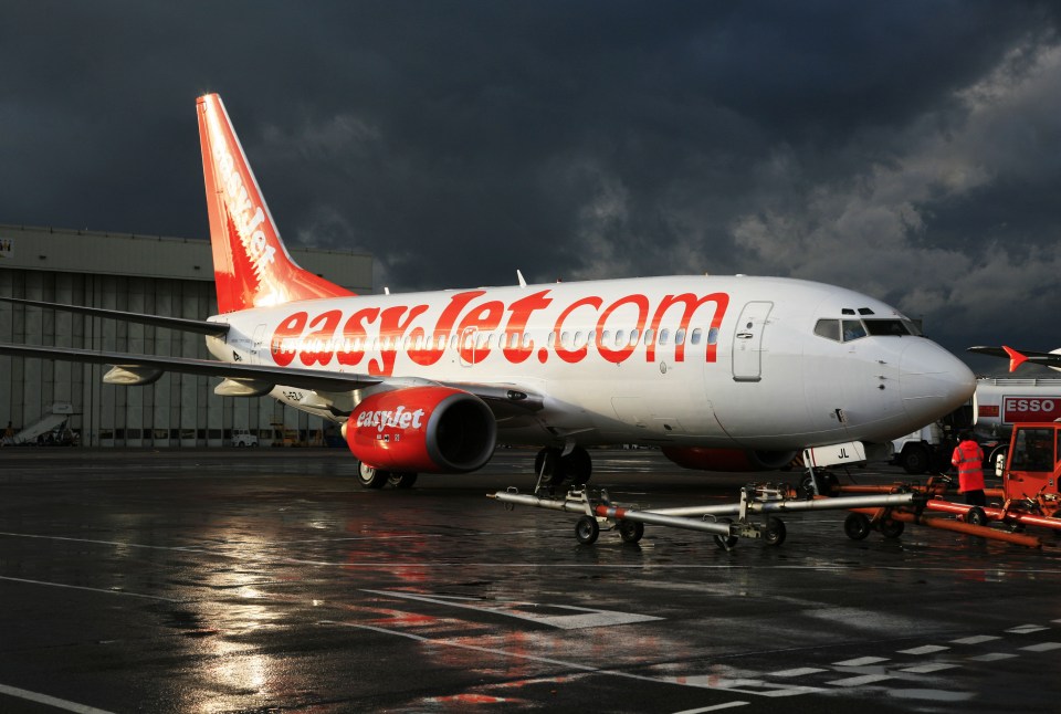  The woman was working on an easyJet plane - like the one pictured- when she fell to the tarmac