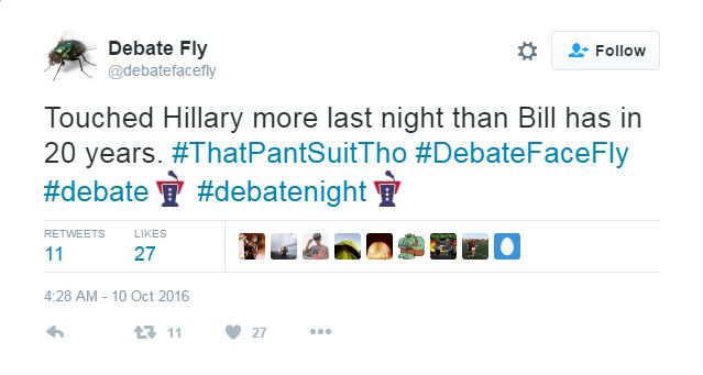  A fly landed on Clinton's face as she spoke, which quickly led to it having its own Twitter profile