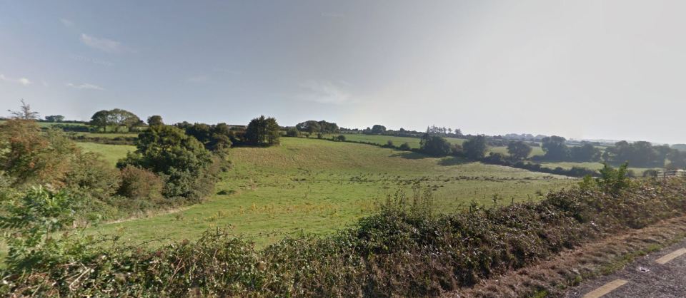  Fields over Garranbaun, Waterford, where Cox's plane went down just eight minutes into his flight