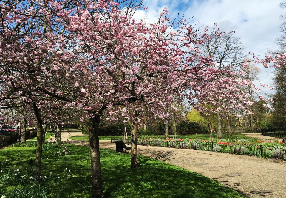  The terrifying incident took place in Manor House Gardens in Hither Green