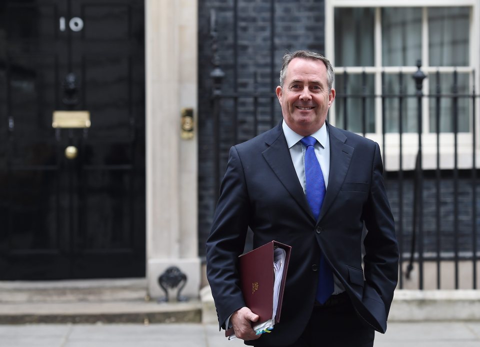  International Trade Secretary Liam Fox has risked Theresa May's wrath by insisting Britain should have a trade deal in place before it leaves the EU